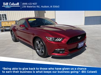 Used 2016 Ford Mustang Premium w/ Equipment Group 201A image 1