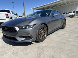 Used 2024 Ford Mustang Premium image 1