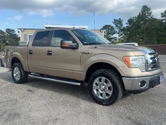 Used 2012 Ford F150 XLT w/ XLT Chrome Pkg image 1