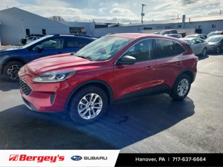 Used 2022 Ford Escape SE w/ Convenience Package image 1