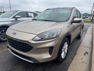 Used 2020 Ford Escape SE image 1