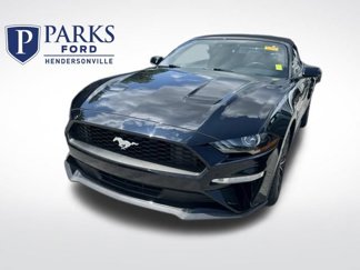 Used 2019 Ford Mustang Premium w/ Equipment Group 201A image 1