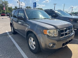 Used 2011 Ford Escape XLT w/ 202A Rapid Spec Order Code image 1
