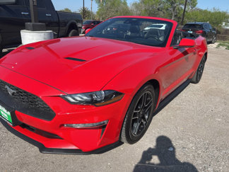 Used 2022 Ford Mustang Premium image 1