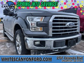 Used 2017 Ford F150 XLT w/ Equipment Group 302A Luxury image 1