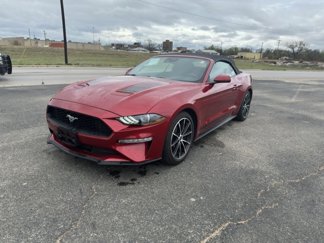 Used 2021 Ford Mustang Convertible w/ Equipment Group 101A image 1