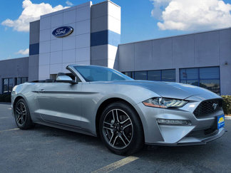 Certified 2023 Ford Mustang Premium image 1