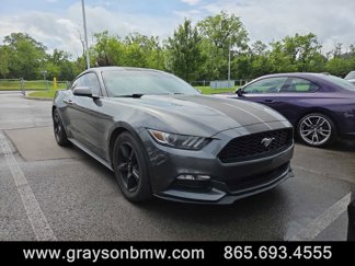 Used 2016 Ford Mustang Coupe image 1