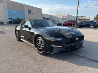 Used 2020 Ford Mustang Premium image 1