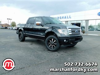 Used 2014 Ford F150 Platinum image 1