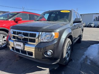 Used 2009 Ford Escape Limited image 1