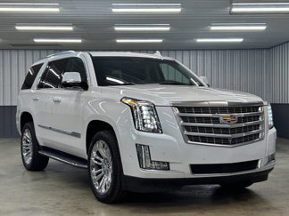Used 2019 Cadillac Escalade Premium Luxury w/ LPO, Radiant Package image 1