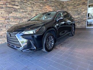 Used 2024 Lexus NX 350 AWD w/ Premium Package image 1