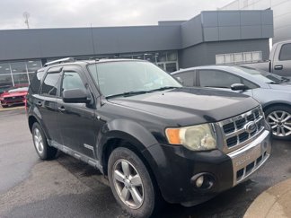 Used 2008 Ford Escape Limited image 1
