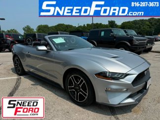 Used 2020 Ford Mustang Premium image 1