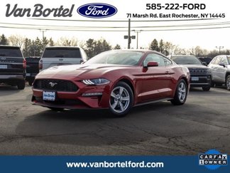 Used 2020 Ford Mustang Coupe image 1