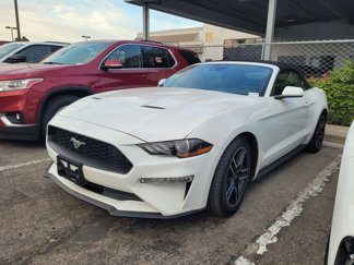 Used 2022 Ford Mustang Premium image 1