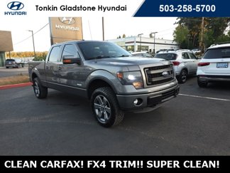 Used 2014 Ford F150 FX4 image 1