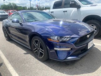 Used 2020 Ford Mustang Coupe w/ Equipment Group 101A image 1