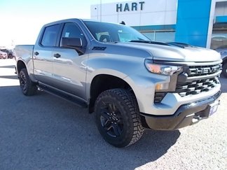 New 2025 Chevrolet Silverado 1500 Custom Trail Boss image 1