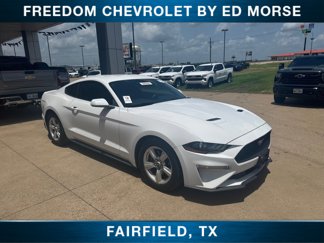 Used 2019 Ford Mustang Coupe image 1