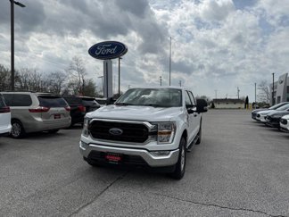 Used 2021 Ford F150 XLT w/ Equipment Group 301A Mid image 1