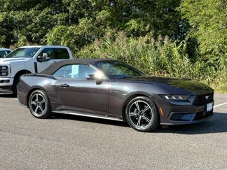 Certified 2024 Ford Mustang Premium image 1