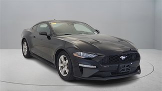 Used 2021 Ford Mustang Coupe image 1