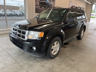 Used 2010 Ford Escape XLT image 1