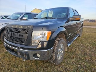 Used 2012 Ford F150 XLT w/ XLT Chrome Pkg image 1