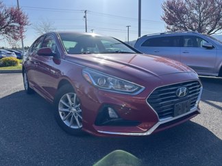 Used 2019 Hyundai Sonata SE image 1
