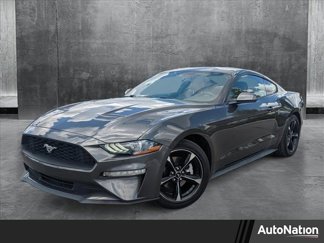 Used 2019 Ford Mustang Coupe image 1