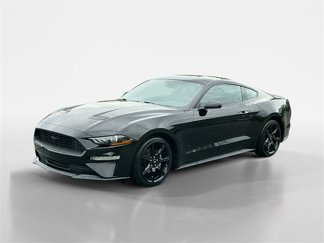 Used 2020 Ford Mustang Coupe w/ Equipment Group 101A image 1