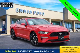 Used 2023 Ford Mustang Coupe w/ Equipment Group 101A image 1