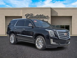 Used 2016 Cadillac Escalade Platinum image 1