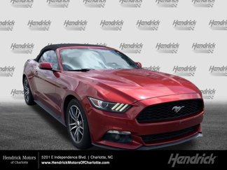 Used 2017 Ford Mustang Premium image 1