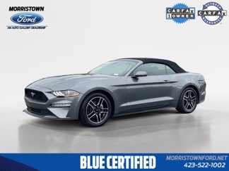 Certified 2022 Ford Mustang Premium image 1