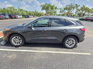Used 2020 Ford Escape SE image 1