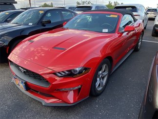 Used 2019 Ford Mustang Convertible image 1