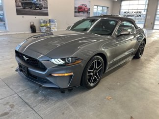 Used 2022 Ford Mustang Premium image 1