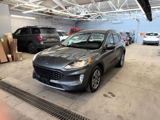 Used 2022 Ford Escape SEL image 1