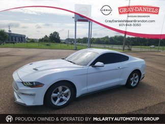 Used 2019 Ford Mustang Coupe image 1