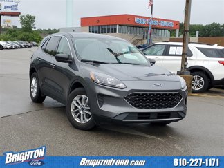 Used 2022 Ford Escape SE image 1