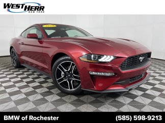 Used 2019 Ford Mustang Coupe w/ Equipment Group 101A image 1