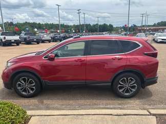 Used 2020 Honda CR-V EX-L image 1
