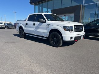 Used 2014 Ford F150 STX w/ Equipment Group 201A Mid image 1