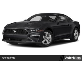 Used 2019 Ford Mustang Coupe w/ Ecoboost Performance Package image 1