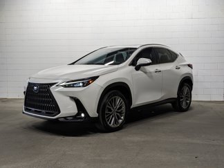Used 2023 Lexus NX 350h AWD w/ Premium Package image 1