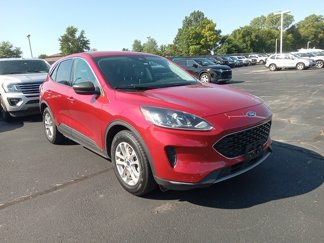 Used 2022 Ford Escape SE w/ Convenience Package image 1