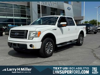 Used 2010 Ford F150 FX4 image 1
